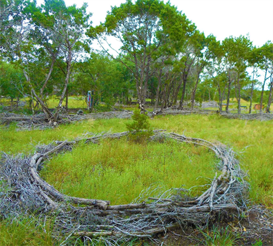 Land Art By Austin Art Store