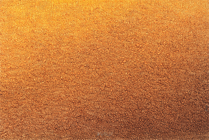 Multidimensional Multiverse